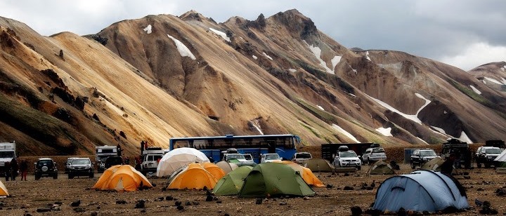 Random Penguin Photo