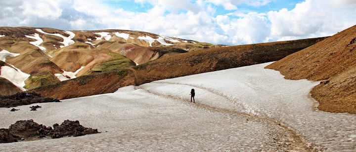 Random Penguin Photo